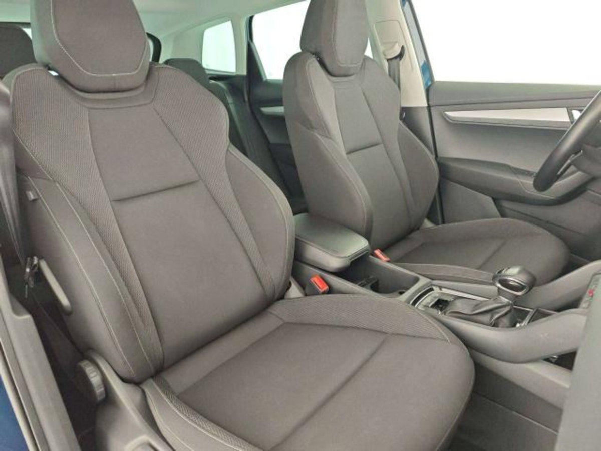 Skoda Karoq 2.0 TDI EVO SCR 115 CV DSG Executive (10)