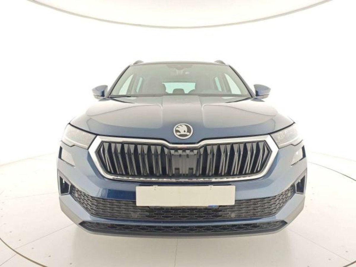 Skoda Karoq 2.0 TDI EVO SCR 115 CV DSG Executive (5)