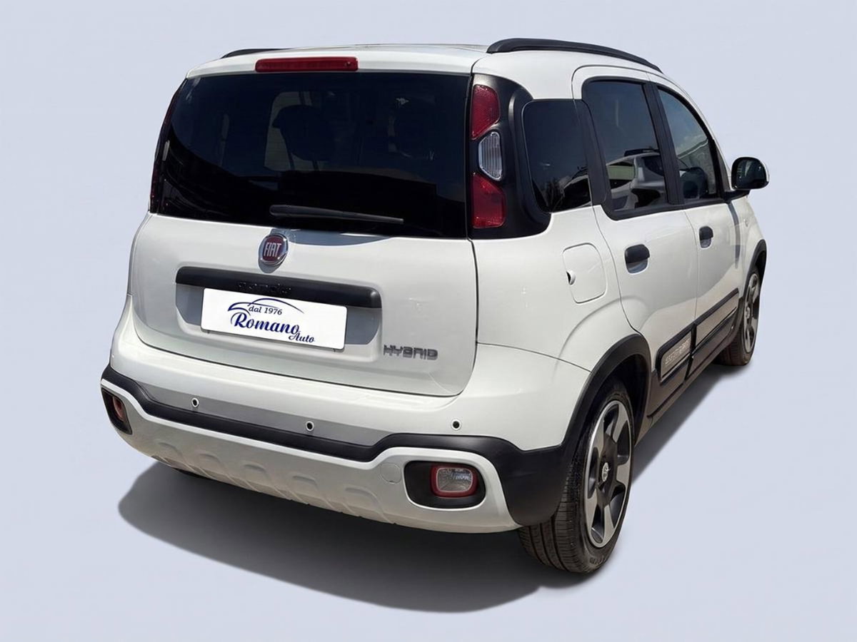 Fiat Panda 1.0 firefly hybrid s&s 70cv 5p.ti (4)
