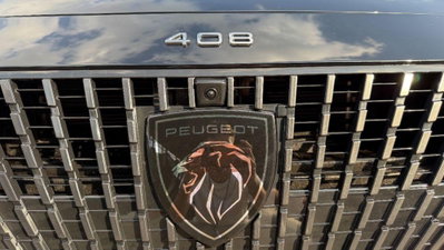 Peugeot 408 58,2 kWh GT (6)