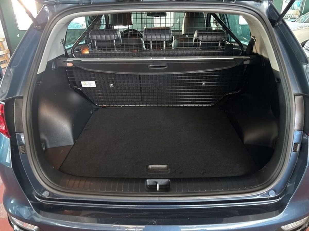 Kia Sportage 1.6 CRDI 115 CV 2WD Style (9)