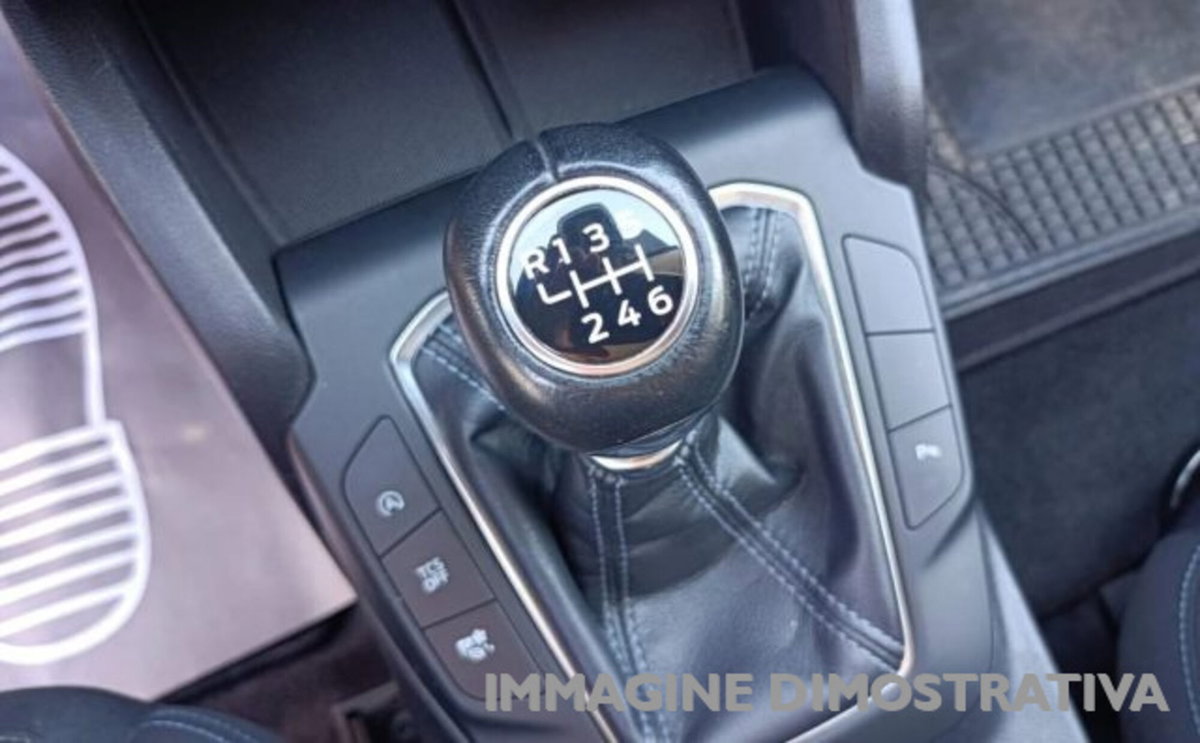 Ford Focus 1.5 EcoBlue 120 CV 5p. ST-Line (15)