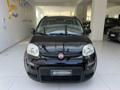 Fiat Panda 1.0 firefly hybrid s&s 70cv (12)