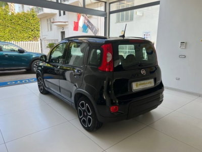 Fiat Panda 1.0 firefly hybrid s&s 70cv (15)