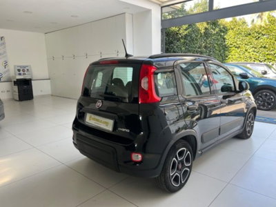 Fiat Panda 1.0 firefly hybrid s&s 70cv (18)