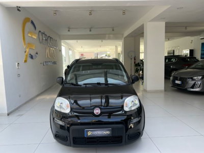 Fiat Panda 1.0 firefly hybrid s&s 70cv (3)