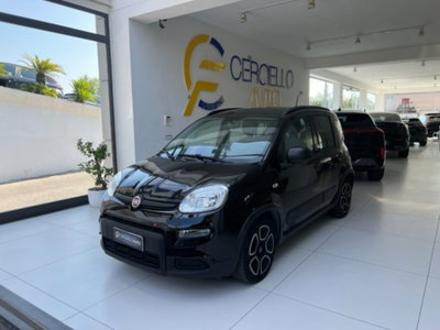 Fiat Panda 1.0 firefly hybrid s&s 70cv (5)