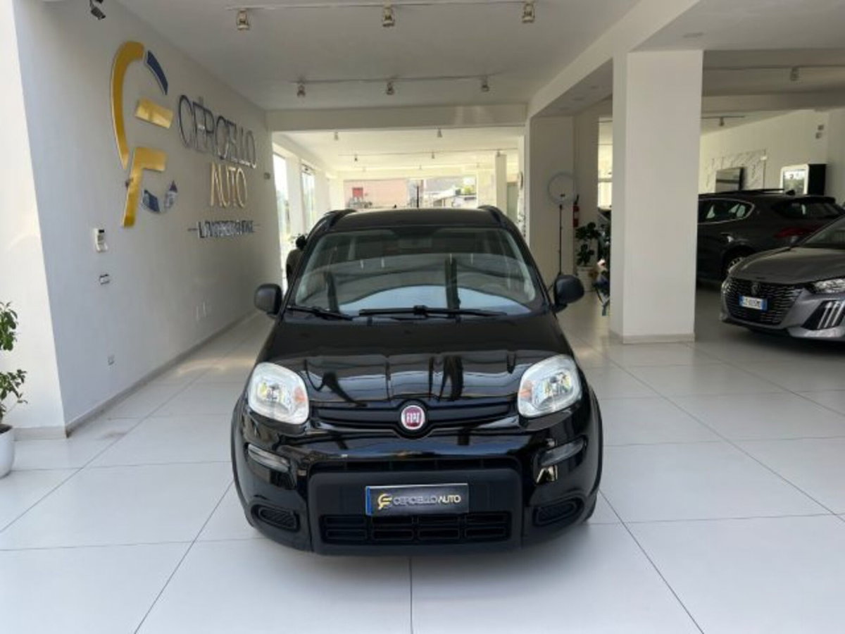 Fiat Panda 1.0 firefly hybrid s&s 70cv (6)