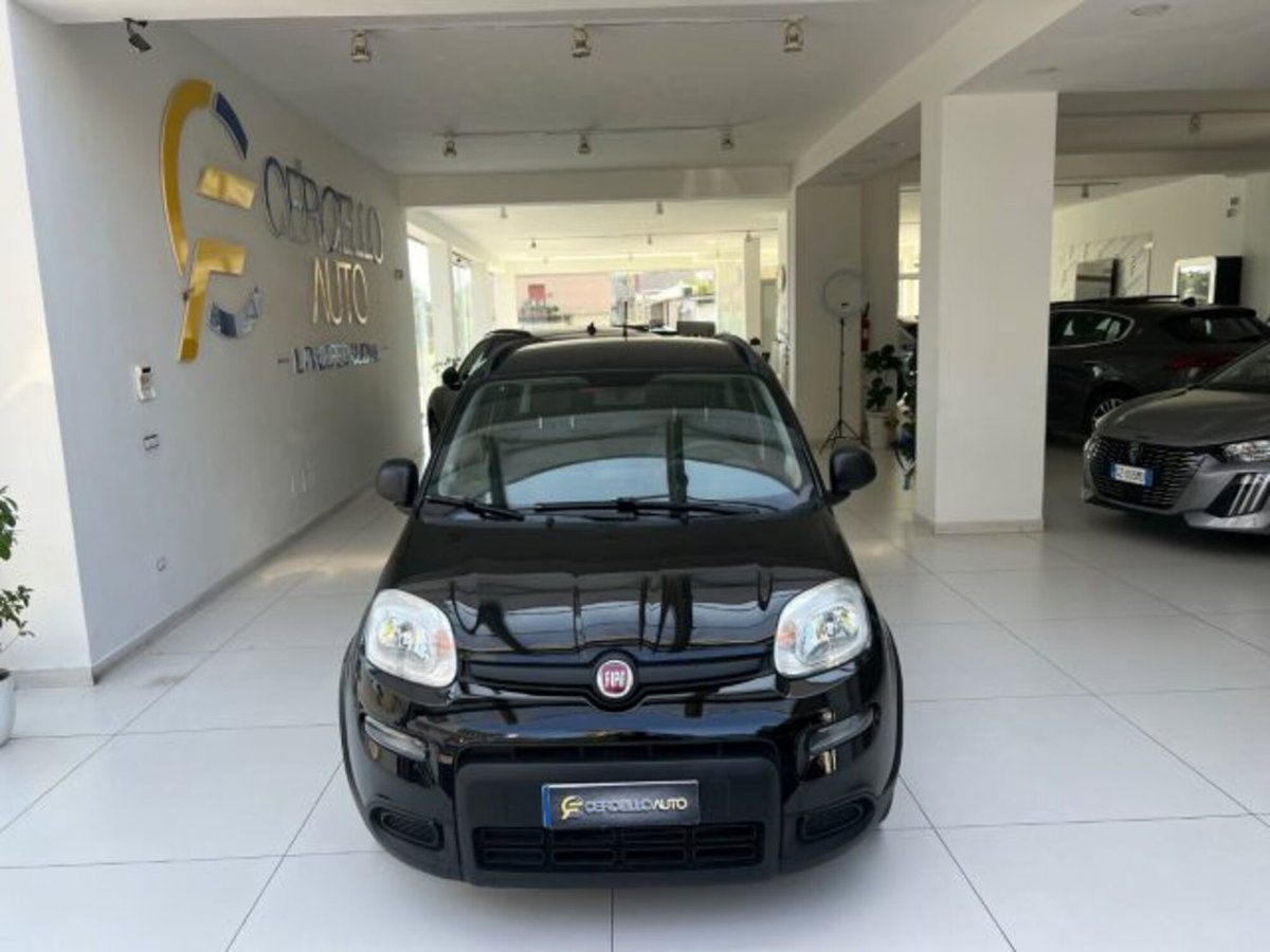 Fiat Panda 1.0 firefly hybrid s&s 70cv (7)