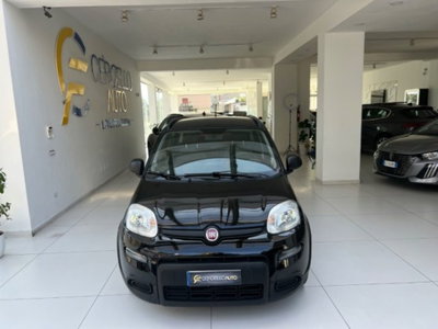 Fiat Panda 1.0 firefly hybrid s&s 70cv (7)