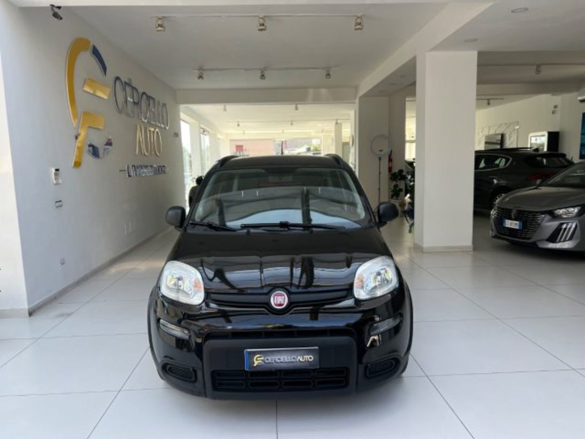 Fiat Panda 1.0 firefly hybrid s&s 70cv (8)