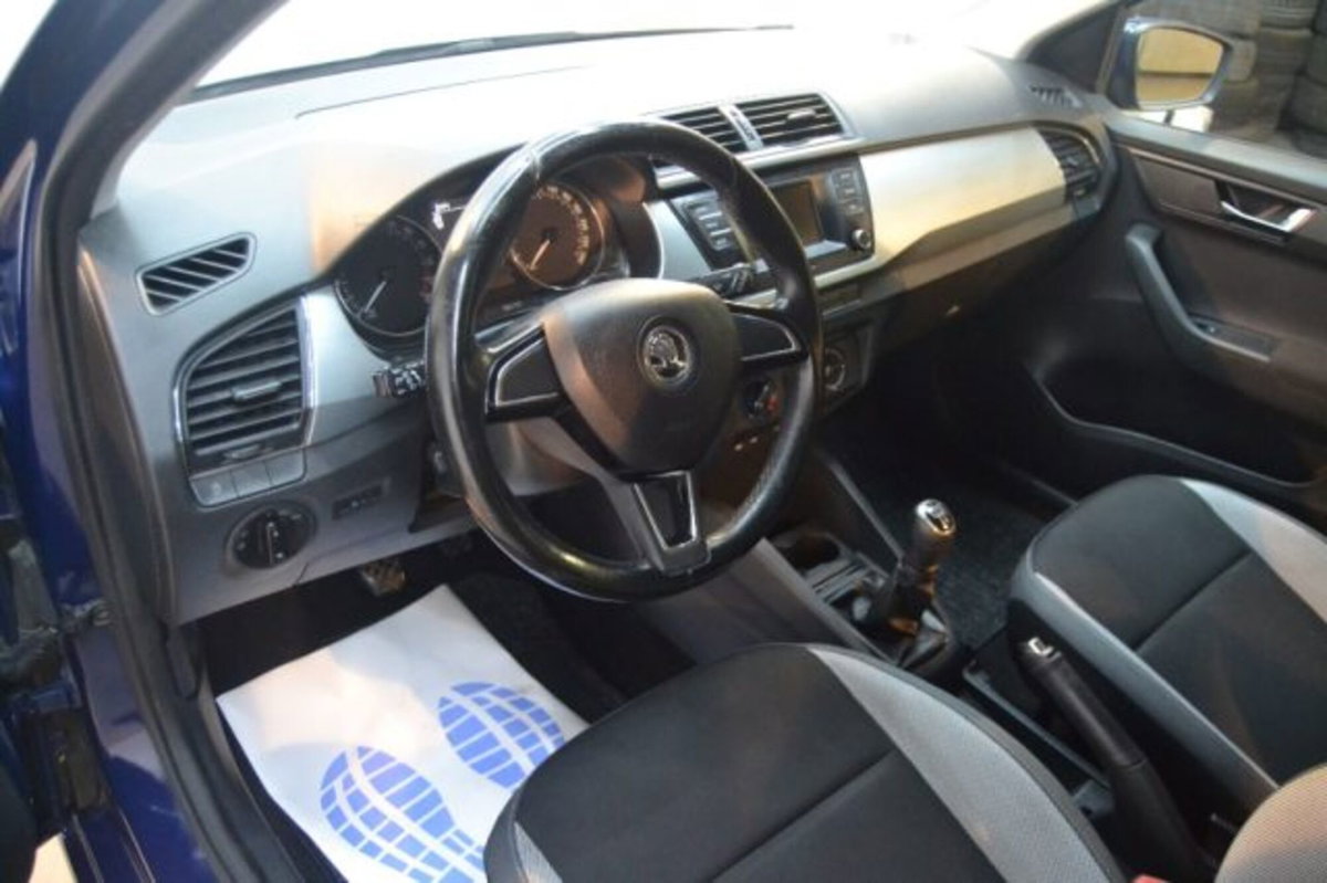 Skoda Fabia 1.4 TDI 90 CV Business (12)