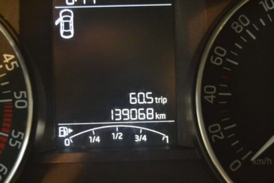 Skoda Fabia 1.4 TDI 90 CV Business (13)