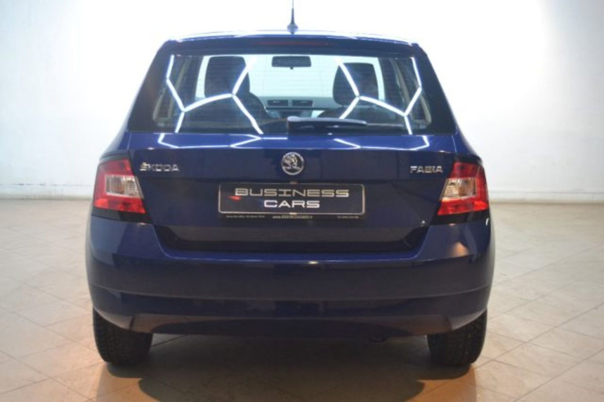Skoda Fabia 1.4 TDI 90 CV Business (3)