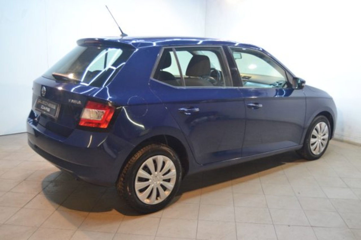 Skoda Fabia 1.4 TDI 90 CV Business (4)
