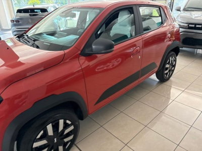 Dacia Spring Business Electric 45 (5)