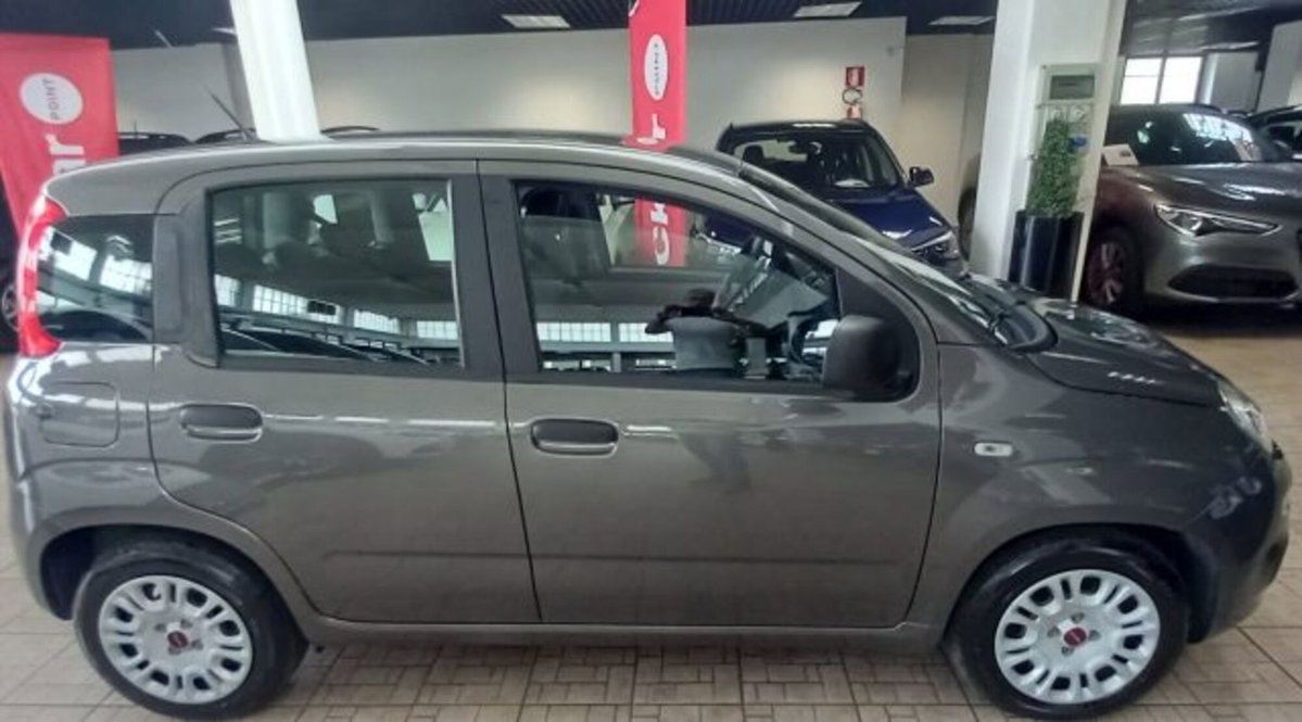 Fiat Panda 1.0 firefly hybrid s&s 70cv 5p.ti (2)