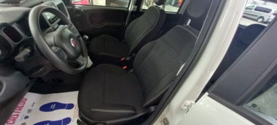 Fiat Panda 1.0 firefly hybrid s&s 70cv 5p.ti (5)