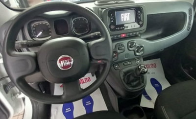 Fiat Panda 1.0 firefly hybrid s&s 70cv 5p.ti (9)