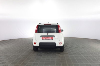 Fiat Panda 1.0 FireFly S&S Hybrid City Cross (5)