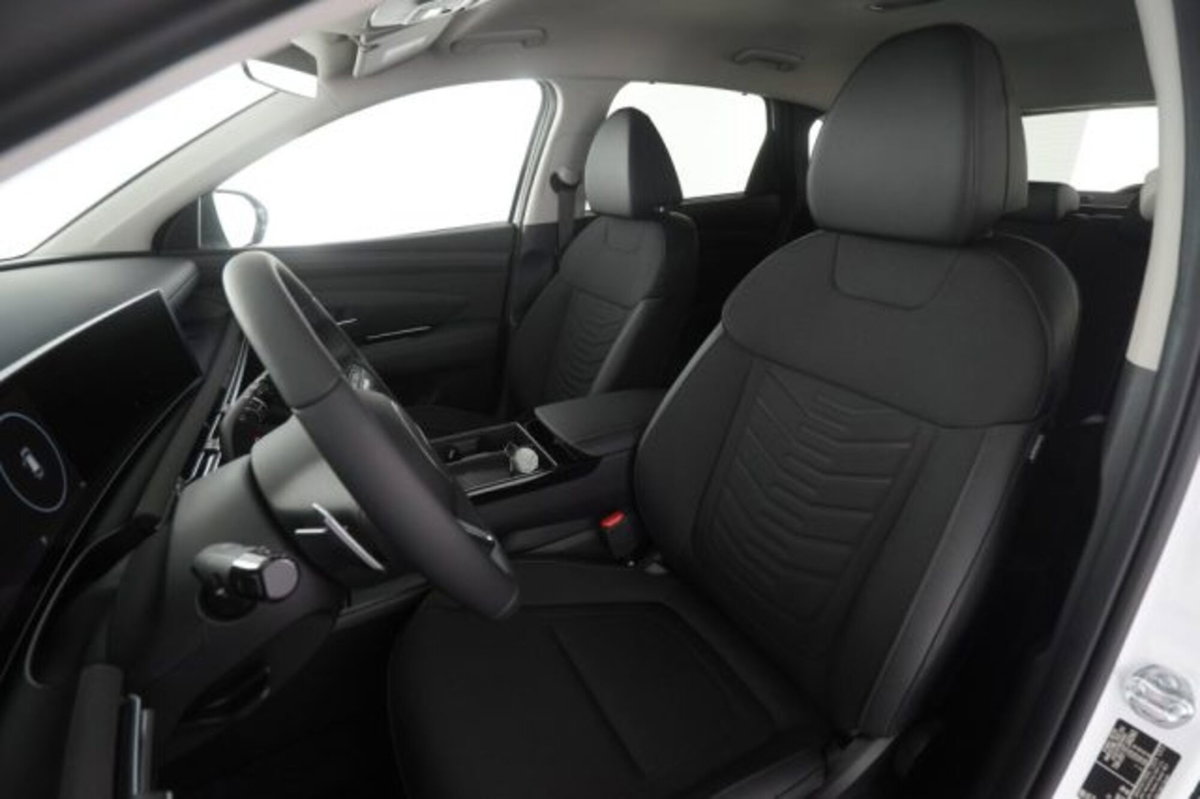 Hyundai Tucson 1.6 hev Exellence 4wd auto (10)