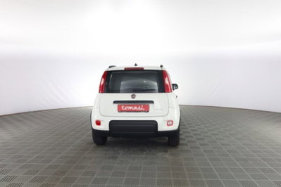 Fiat Panda 1.0 FireFly S&S Hybrid City Cross (5)
