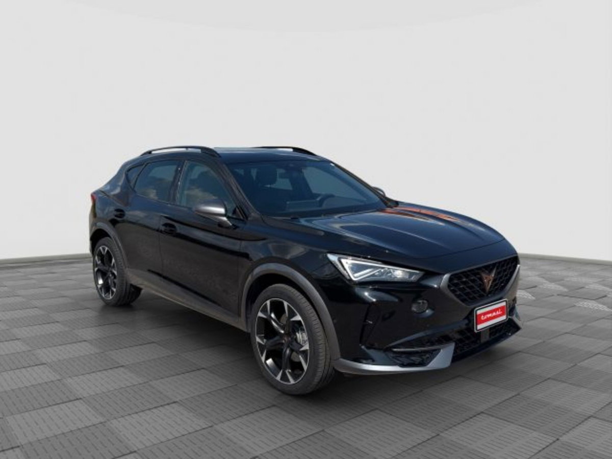 Cupra Formentor Formentor 1.5 TSI (7)