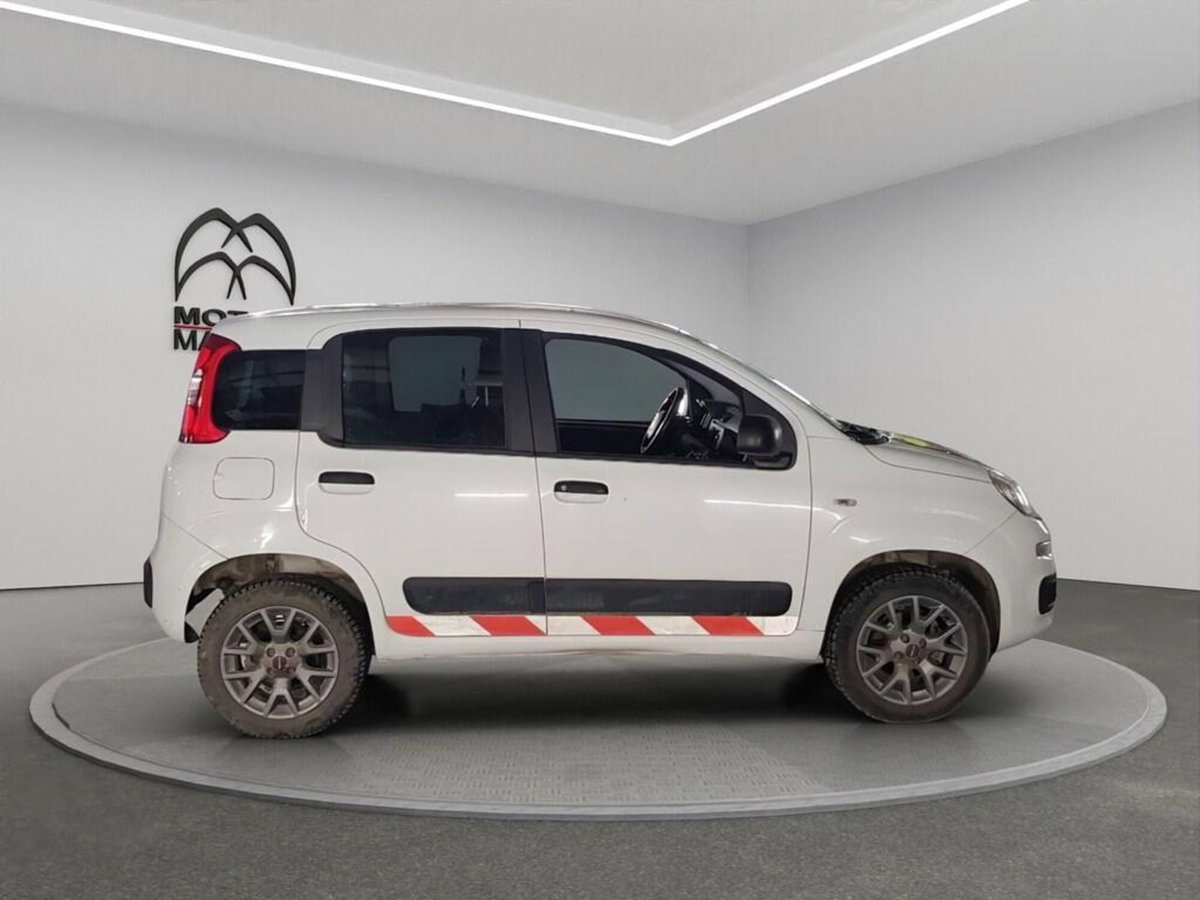 Fiat Panda 1.3 MJT 4x4 Pop Van 2 posti (3)