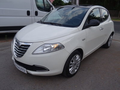 Lancia Ypsilon 1.2 69 CV 5 porte Platinum (10)