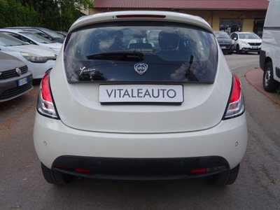 Lancia Ypsilon 1.2 69 CV 5 porte Platinum (7)