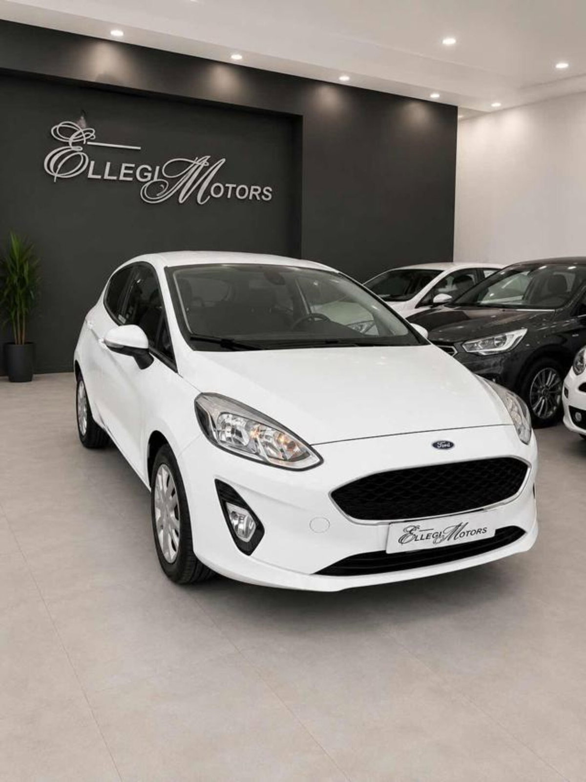 Ford Fiesta 1.5 TDCi 85 CV 3 porte  Trend