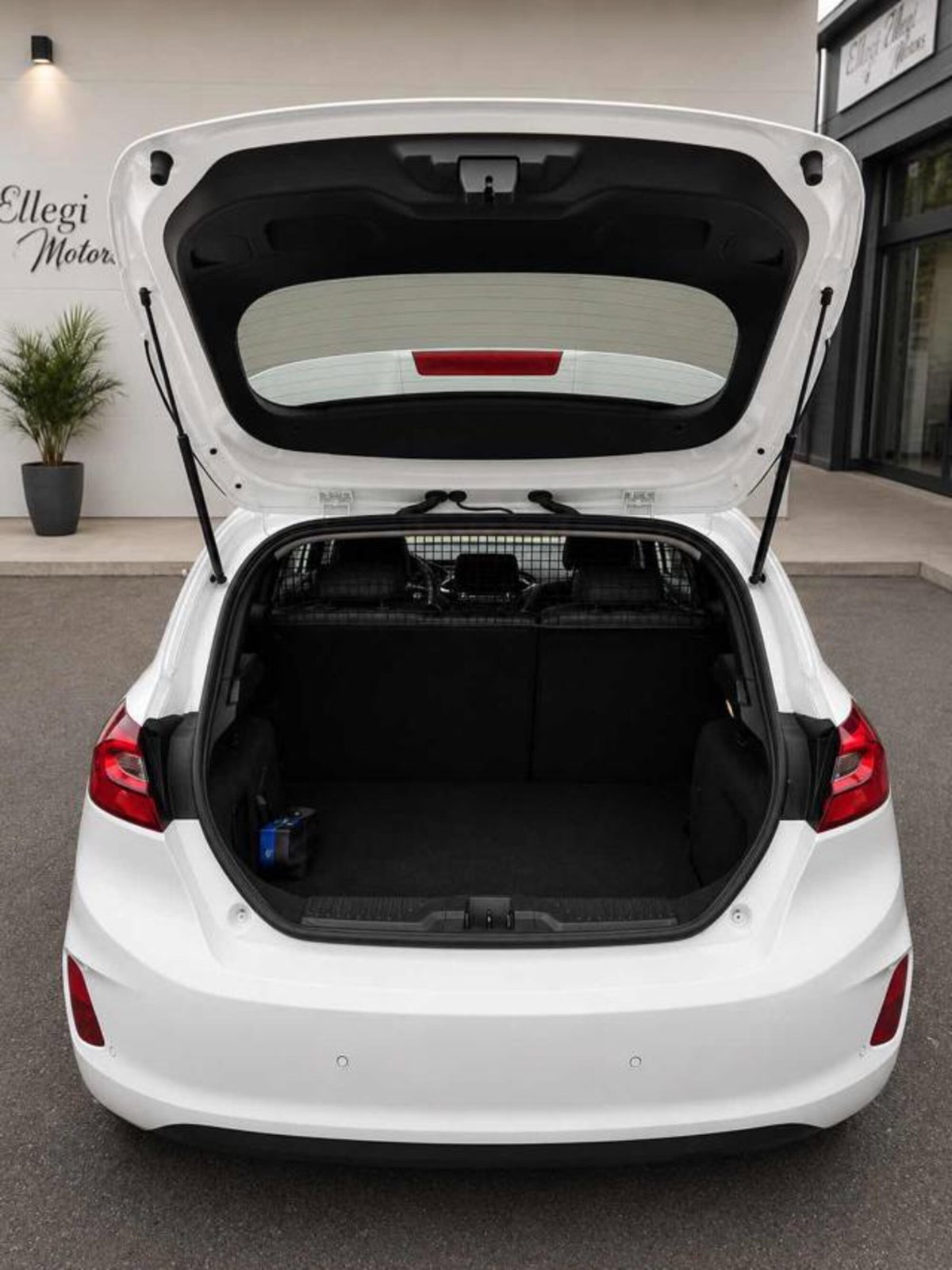 Ford Fiesta 1.5 TDCi 85 CV 3 porte  Trend (13)
