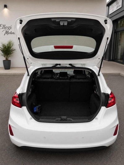 Ford Fiesta 1.5 TDCi 85 CV 3 porte  Trend (13)