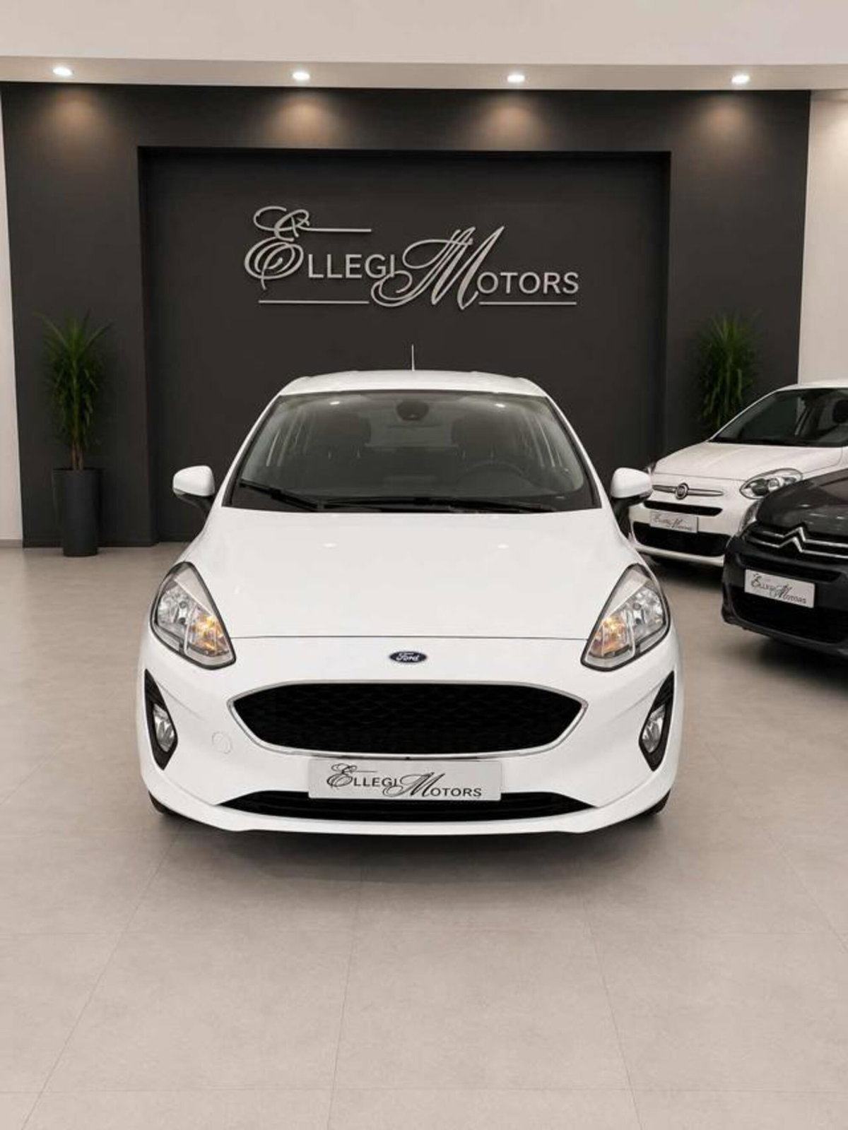 Ford Fiesta 1.5 TDCi 85 CV 3 porte  Trend (2)