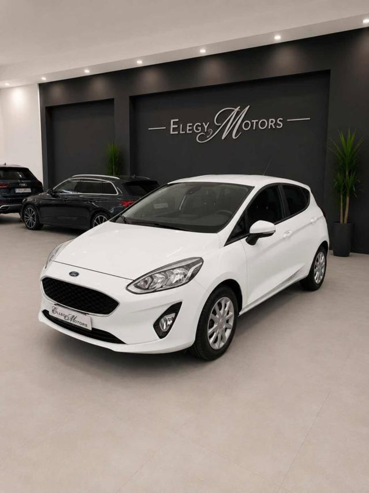 Ford Fiesta 1.5 TDCi 85 CV 3 porte  Trend (4)