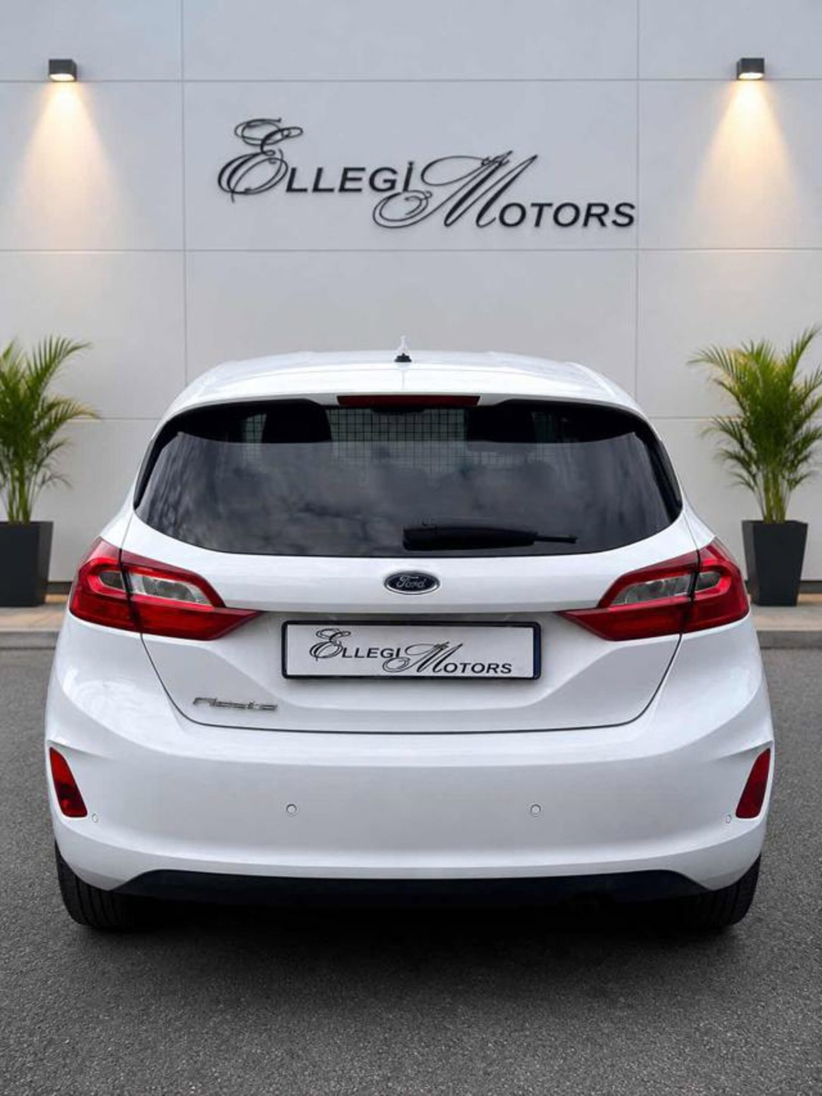 Ford Fiesta 1.5 TDCi 85 CV 3 porte  Trend (5)