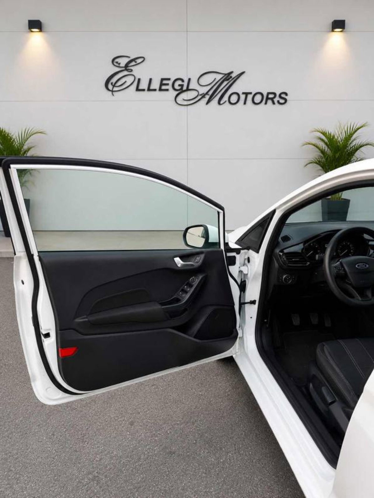 Ford Fiesta 1.5 TDCi 85 CV 3 porte  Trend (7)