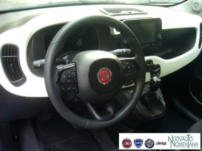 Fiat Panda Cross 1.0 firefly hybrid Cross s&s 70cv 5p.ti (15)