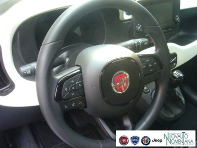 Fiat Panda Cross 1.0 firefly hybrid Cross s&s 70cv 5p.ti (19)
