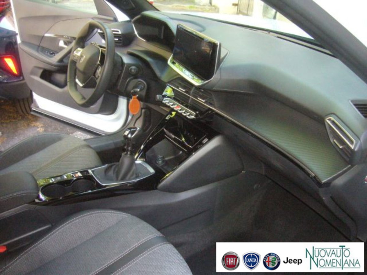 Peugeot 2008 PureTech 100 S&S Allure (20)
