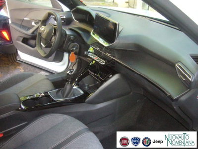 Peugeot 2008 PureTech 100 S&S Allure (20)