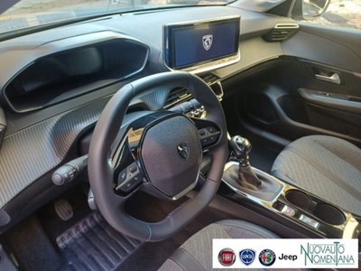 Peugeot 208 1.2 puretech Active s&s 100cv (11)