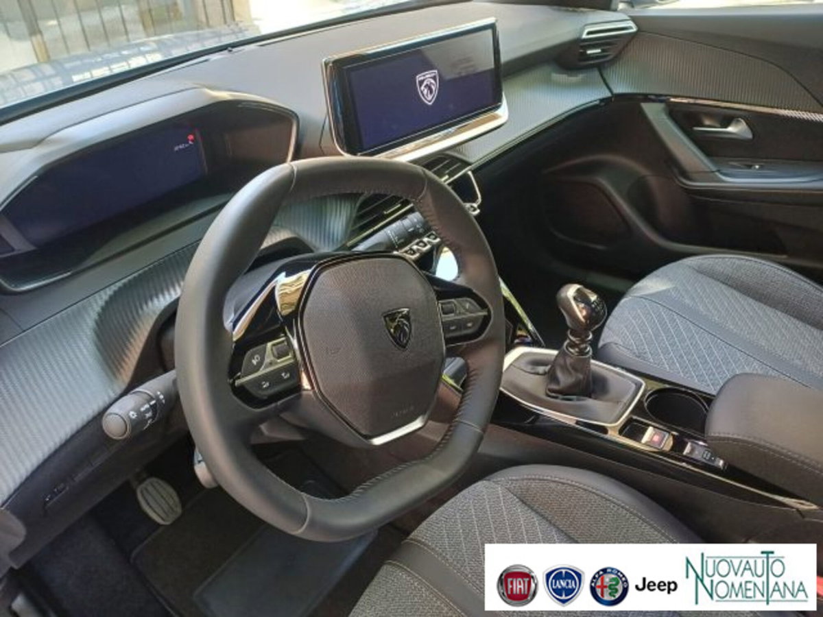 Peugeot 2008 PureTech 100 S&S Allure (12)