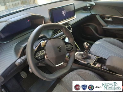 Peugeot 2008 PureTech 100 S&S Allure (12)
