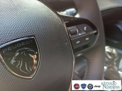 Peugeot 2008 PureTech 100 S&S Allure (17)