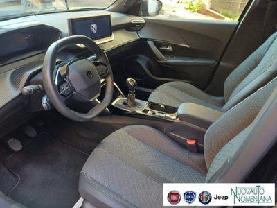 Peugeot 2008 PureTech 100 S&S Allure (11)