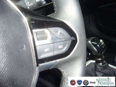 Peugeot 2008 PureTech 100 S&S Allure Pack (14)