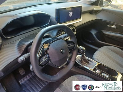 Peugeot 208 1.2 puretech Active s&s 100cv (11)