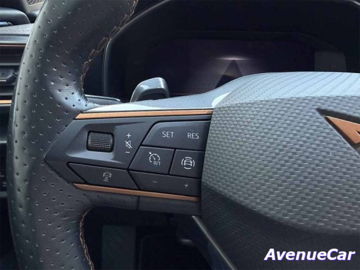 Cupra Formentor Formentor 1.4 e-hybrid Impulse 204cv dsg (12)