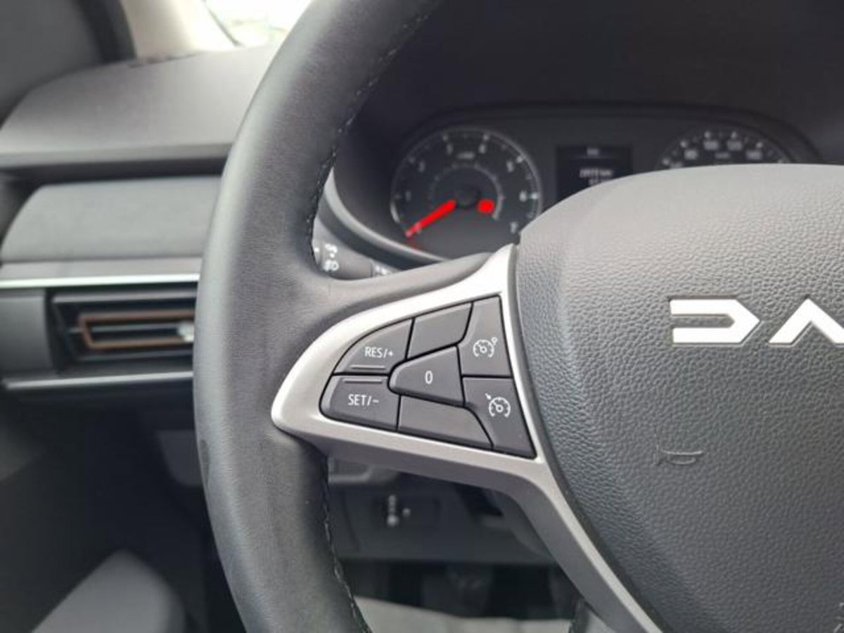 Dacia Sandero Stepway 1.0 tce Extreme Up Eco-g 100cv (12)